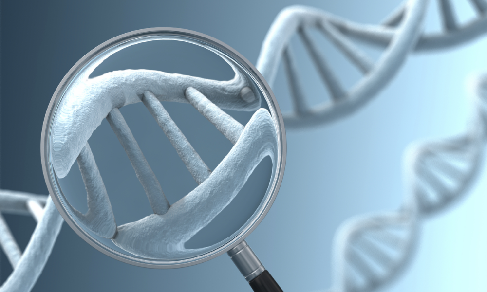 Untitled design (67)