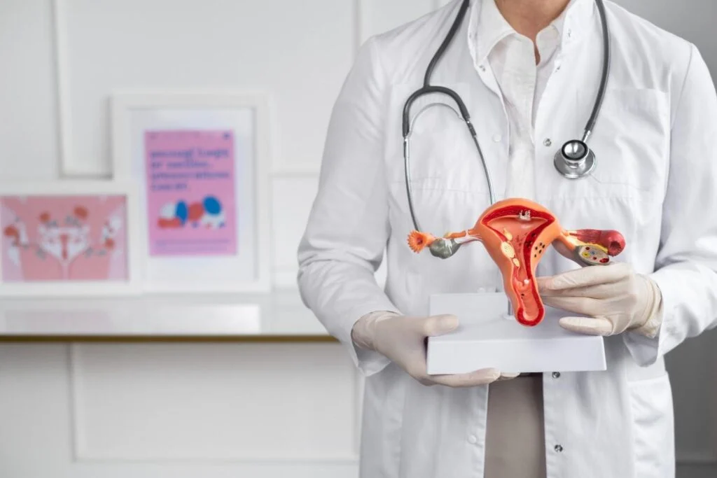 front-view-doctor-holding-anatomic-model-1-1024x683